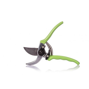 Gyümölcsfa metsző