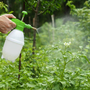 Vegyszerek, adalékok