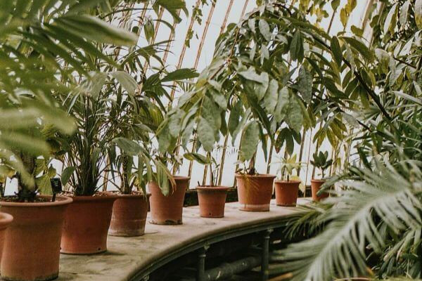 Hétvégi pihenőkert - 4