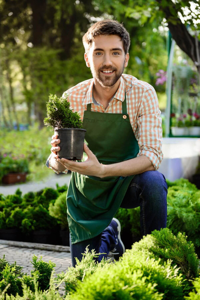 Kertépítési szolgáltatások